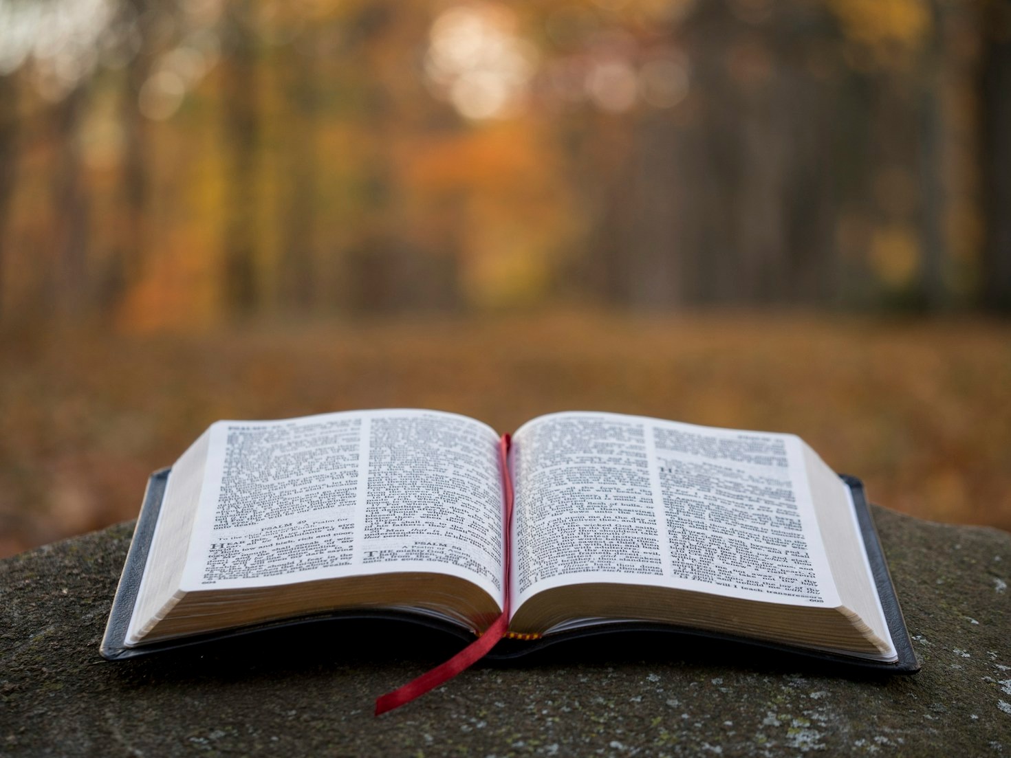 Applying Biblical Teachings to Modern Challenges