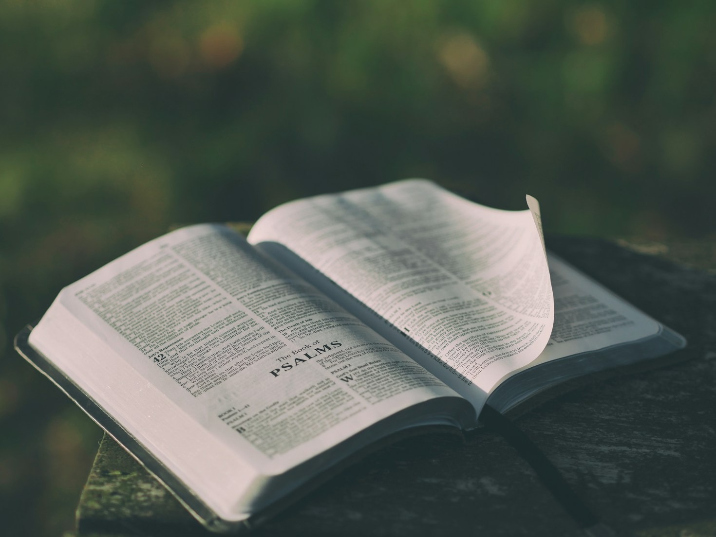 The Sanctuary Worldview: What It Means for You
